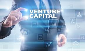 Venture Capital Services